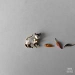 åȥࡼ󥰥إå ʥ֥