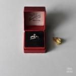 åɥڡѡ 󥰥Parsons