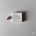 ȥۥ磻 ڡѡ奨꡼ܥåH.J.Patience