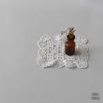 ۥ磻 ⡼륹 åɥ꡼