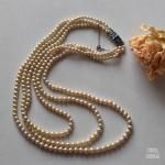 ȥץ륹ȥɥѡͥå쥹 Сե饹