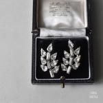 ꥢХåȣڥӥ塼 ꡼ե