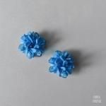 Хȥ֥롼 饹꡼գڥ륤