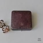 Сǥ 奨꡼ ꡼饤˥