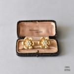 TRIFARIȥե ƥ󥴡ɣѡե