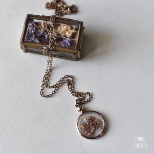 ɥǥ 饹å إͥå쥹