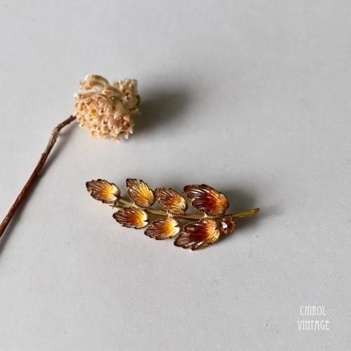 СꥢХ顼饹 ꡼ե֥