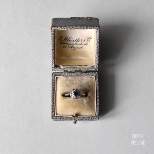 졼쥶󥰥E.Whistler