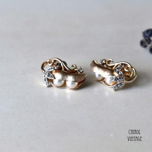 TRIFARIȥե ԡݥåɥ