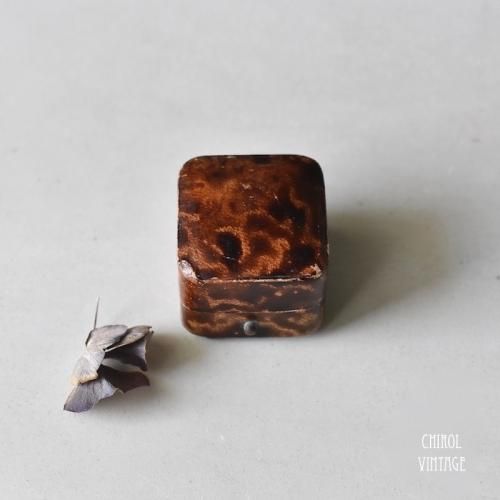 ޡ֥֥饦 󥰥H.G.George