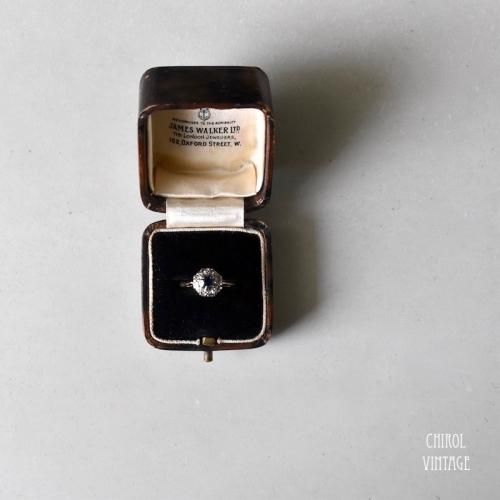 ޡ֥֥饦 󥰥James Walker