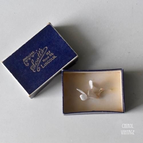 ͥӡڡѡ 奨꡼ܥåScott's