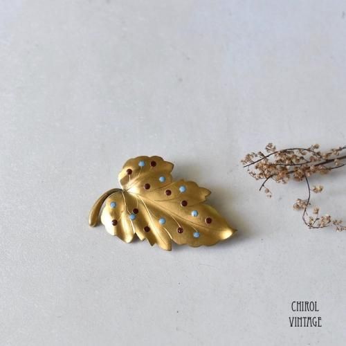 ͥåȣ饹 ɥåȥ꡼ե֥