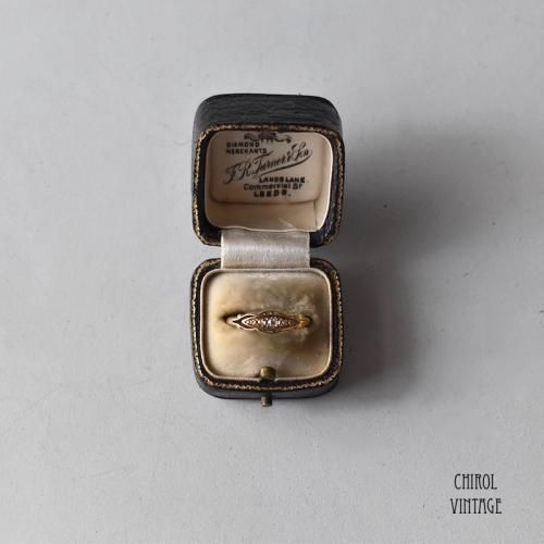 ֥饦쥶 󥰥F.R.Turner