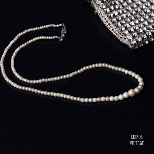 ⡼ѡͥå쥹 ץΥ󥯥饹