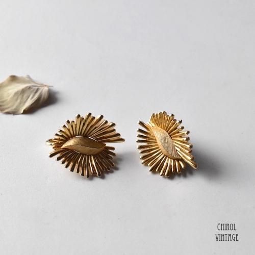 TRIFARI ȥե  ֥ȥ饯ȥե