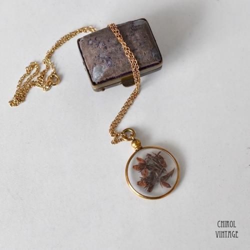 ƥ ɥ饤إ 饹åȥڥ