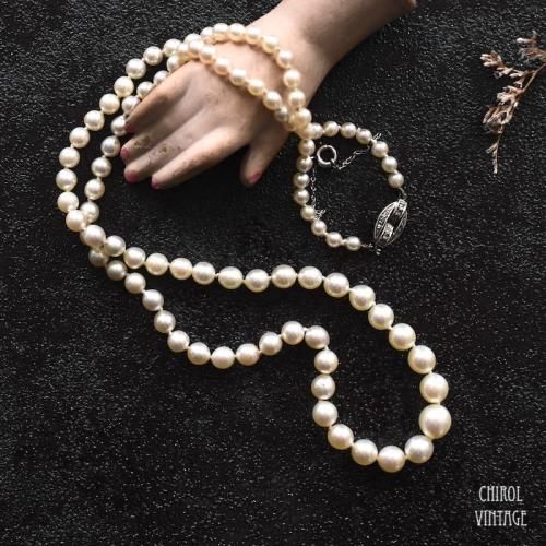 Ciro ꥢѡ Υåȥͥå쥹 Сɥ饹