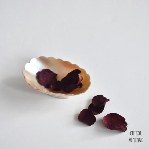 ե Normouutiers ޥ֥ѡ ȥ󥱥åȥ
