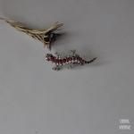 エドウォーディアン グラス トカゲブローチ