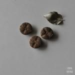 ヴィクトリアン ブラスロープ メッシュメタルボタンx3