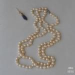 ȥ 󥰥ѡ եåѡͥå쥹