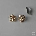 TRIFARIȥե ɥեܥ󥤥