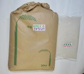 佐賀産 さがびより | 玄米・米 | はくばく