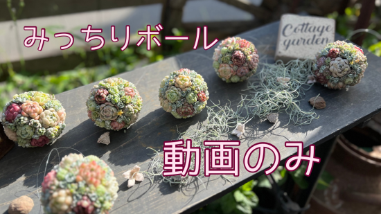 みっちりボール制作動画のみ - cottage garden　-お花と多肉植物・寄せ植え・ガーデニング雑貨のお店-