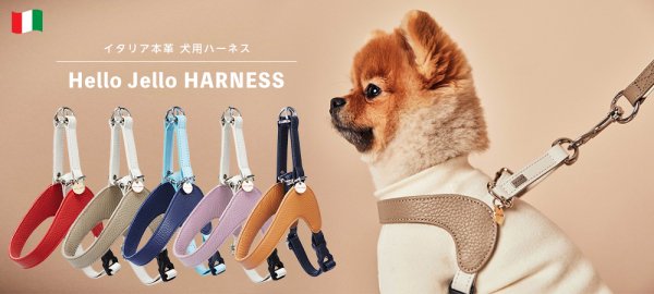 Hello Jello HARNESS イタリア本革 犬用ハーネス