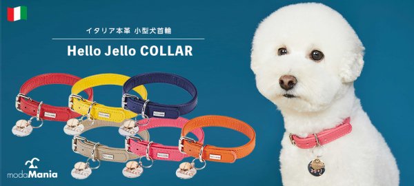 Hello Jello COLLAR イタリア本革 小型犬首輪