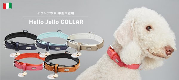 Hello Jello COLLAR イタリア本革 中型犬首輪