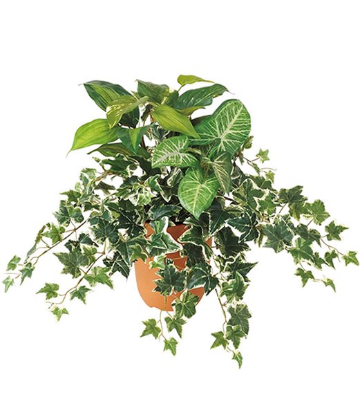 造花　観葉植物　鉢花　アイビーホスタミックスブッシュ（168）