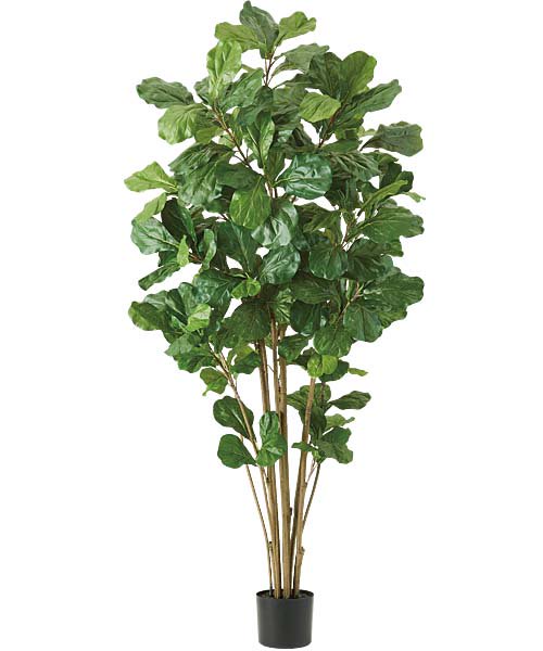 【緑花堂】180cm ウンベラータツリー(204)[ONSLETR7674]　人工観葉植物 フェイクグリーン 造花 装飾 インテリア 大型