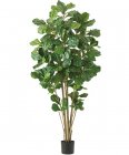 180cm ウンベラータツリー(204)[ONSLETR7674]　人工観葉植物 フェイクグリーン 造花 装飾 インテリア 大型 代引決済不可