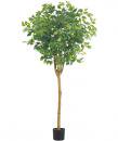 造花 人工観葉植物　180cm ラウンドフィカスツリー（ナチュラルトランク）　代引決済不可