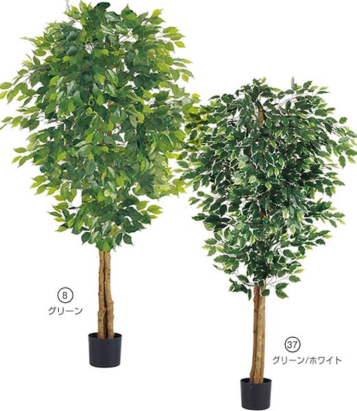Nearly Natural フィカス・バリエガタ 人工観葉植物 1.8m 【日