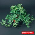 55cm イングリッシュアイビーブッシュ(162) [ONSLEBU1591]　人工観葉植物 フェイクグリーン 造花 装飾 インテリア