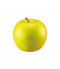 食品サンプル　フェイクフード　フルーツ　果物　80mm グリーンアップル（青りんご）