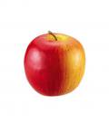 食品サンプル　フェイクフード　フルーツ　果物　80mm アップル（リンゴ）