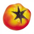 食品サンプル　フェイクフード　ベジタブル　野菜　60mm トマト