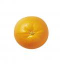 80mm フレッシュオレンジ [ONSDIFV7993] |フェイクフード 食品サンプル レプリカ ディスプレイ 作り物 装飾 飾付 店舗装飾 飾り付け フルーツ 果物 みかん ミカン