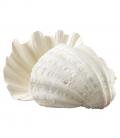 海　マリン装飾デコレーション　25cm クラムシェル（2個入り）（貝殻）　飾り　デコパーツ
