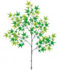 造花 人工観葉植物　楓の枝　カエデスプレイ（105）