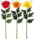 60cm コーディアルマム [ONSFLSP5875] |人工観葉植物 アーティシャルフラワー 造花 フェイクグリーン 菊 キク