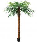人工観葉植物　270cm ココナッツツリー　（ココナッツの木） 代引決済不可