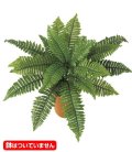 60cm ボストンファーンブッシュ(21) [ONSLEBU7624] |人工観葉植物 フェイクグリーン 造花 装飾 インテリア 鉢植え