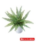 30cm ボストンファーンブッシュ(18) [ONSLEBU7627]　人工観葉植物 フェイクグリーン 造花 装飾 インテリア