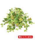 55cm ライトグリーンポテトブッシュ(159) [ONSLEBU7652]　人工観葉植物 フェイクグリーン 造花 装飾 インテリア 鉢植え