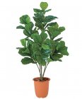 120cm 耐水 ウンベラータツリー(88)[ONSLETR7660]　人工観葉植物 フェイクグリーン 造花 装飾 インテリア 大型 代引決済不可